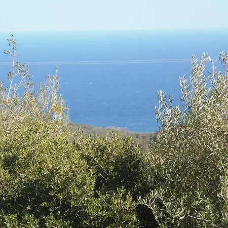 Heaven Of Peace Between Sea And Mountain Sari-Solenzara